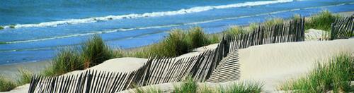 dunes